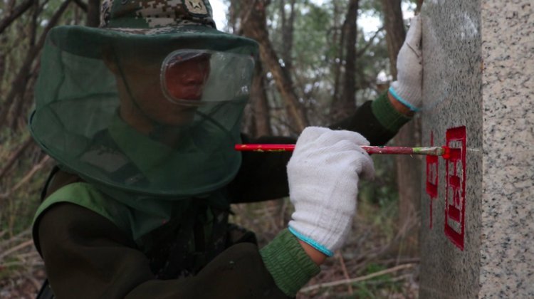 央视新闻他们驻守“蚊虫王国”，一巴掌拍死上百只！