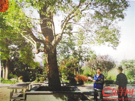 1594018065724214.jpg 3d126813-b6f4-4b8c-9d20-f74af715a578_watermark.jpg