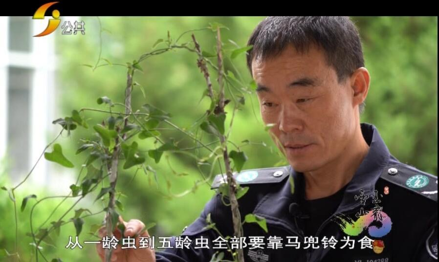 1594266336137839.png image.png