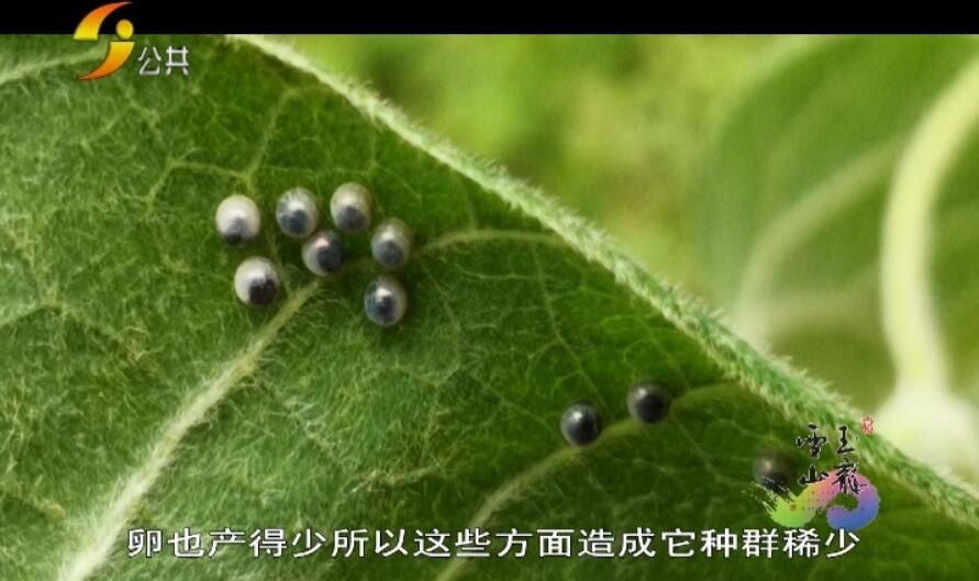 1594266355645218.png image.png