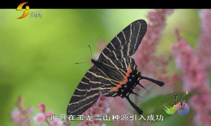 1594266260439741.png image.png