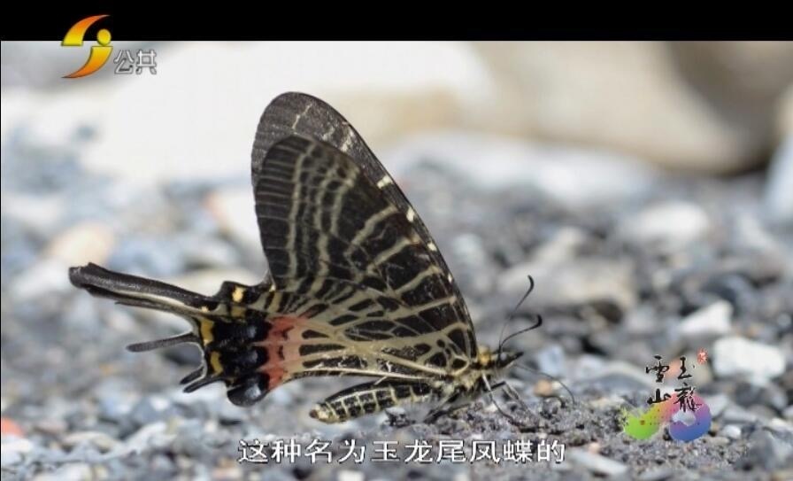 1594266286976351.png image.png