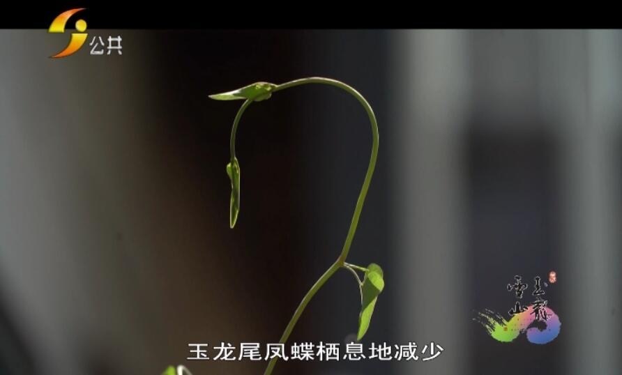 1594266314751412.png image.png