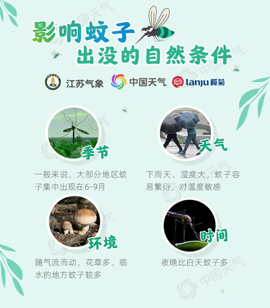 1594214330063030392.jpg?x-oss-process=style/w10