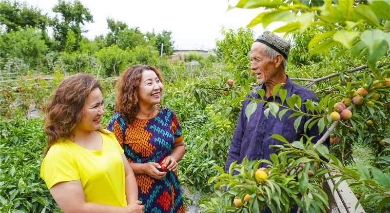 1595131784672399.jpg 25f47954c4f43d6b3a8a500fbb0893d.jpg