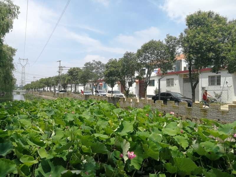 image.png?x-oss-process=style/w10