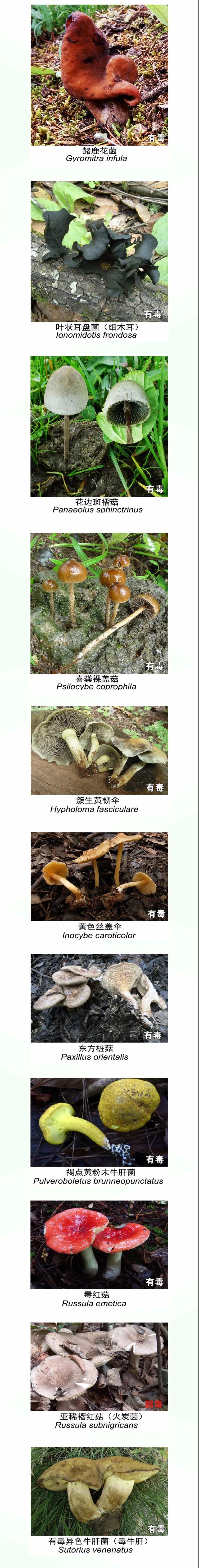 1595812301886276.jpg 微信图片_20200727085749.jpg