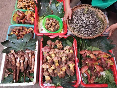 1595812474983525.jpg 微信图片_20200727085237.jpg