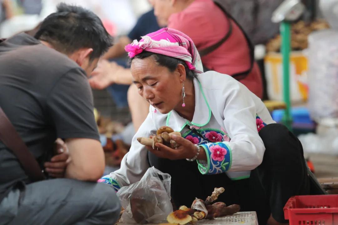 1595812498562025.jpg 微信图片_20200727085322.jpg