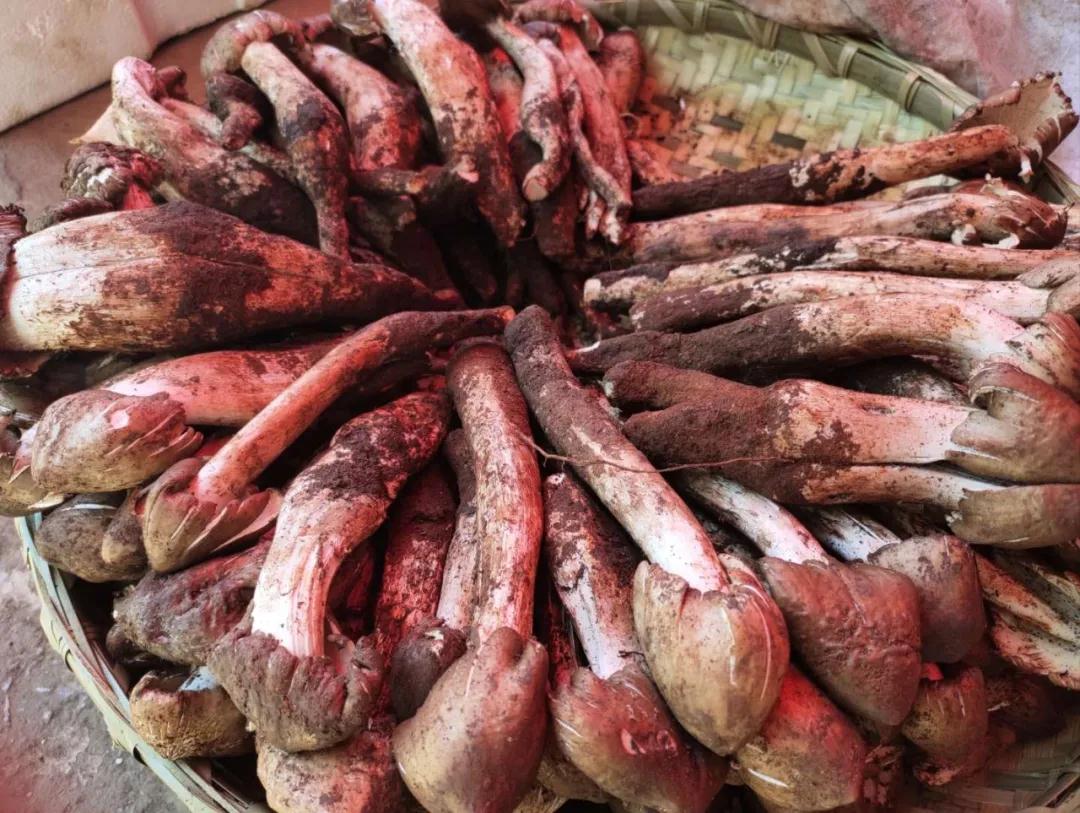 1595812667284237.jpg 微信图片_20200727085257.jpg