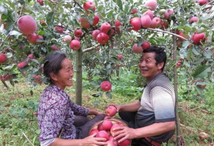 走向我们的小康生活:万山挡不住 蹚出脱贫路