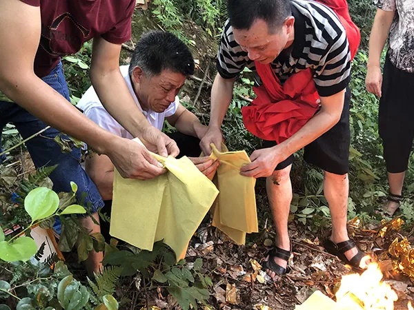 澎湃新闻|张玉环父子重逢:“儿子为什么这么恨我?”