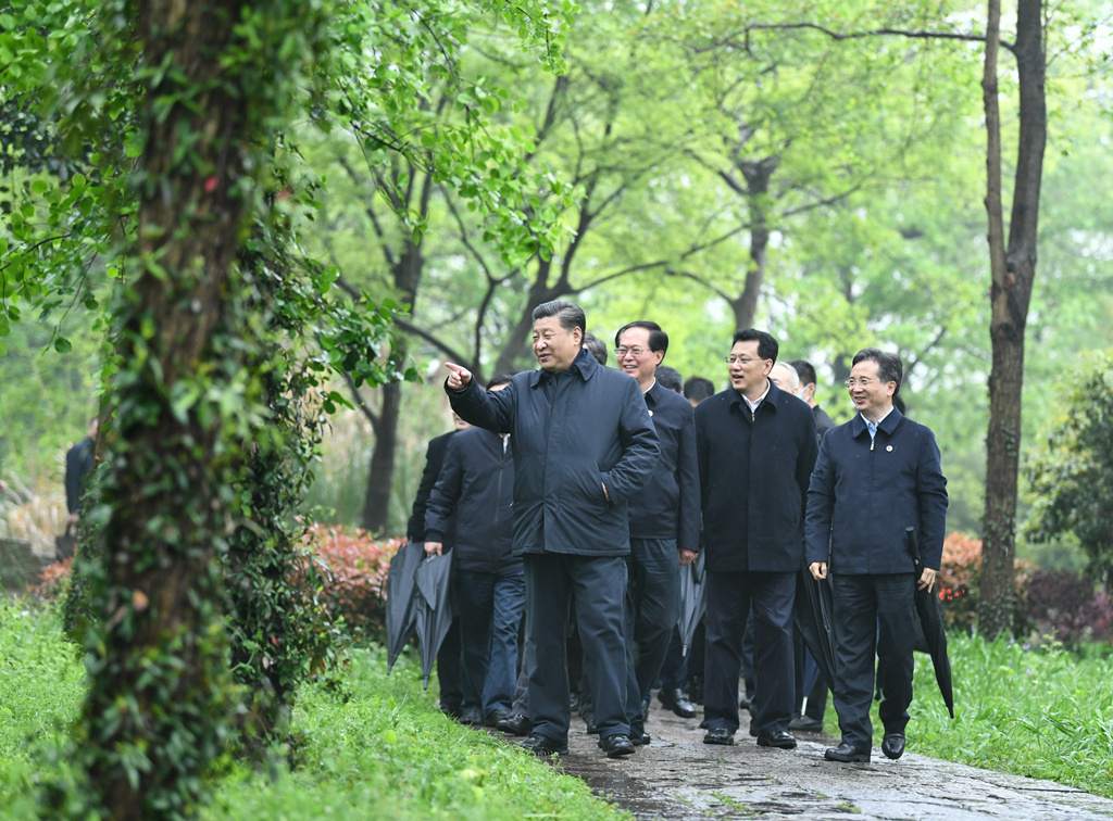 2020年3月31日，习近平总书记走进浙江杭州西溪湿地，考察调研西溪湿地保护利用情况。