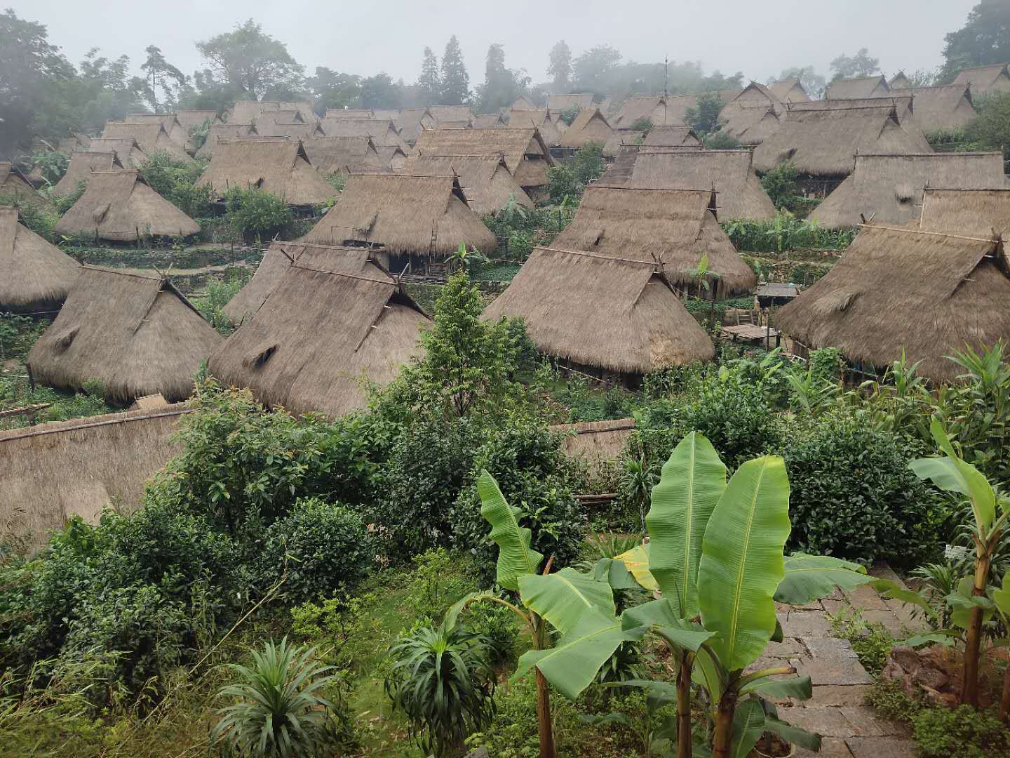 沧源翁丁.jpg?x-oss-process=style/w10