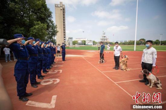 战友再见！这些退役搜救犬有了好去处|战友再见！这些退役搜救犬有了好去处