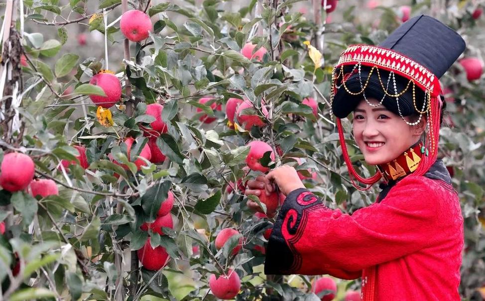 1598262786486698.jpg 图片8.jpg