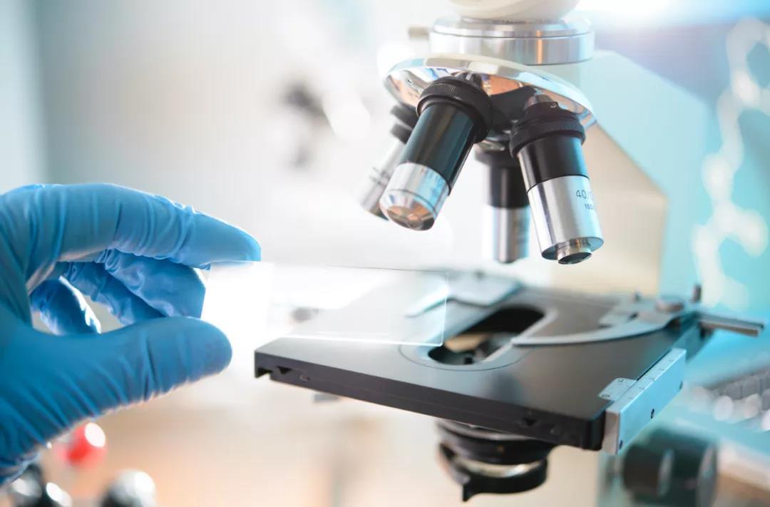 【】谈华为谈教育谈创新，任正非最新发声！