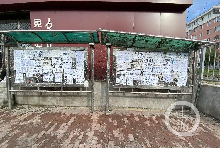 1598930950411253.jpg 8aab8d246a6ddc57c4e40633a1e1f2ec.jpg