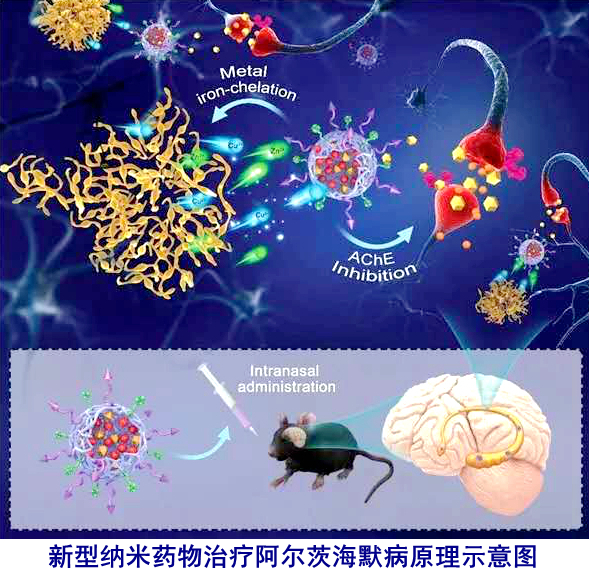1599446100783388.jpg 微信图片_20200907103223.jpg