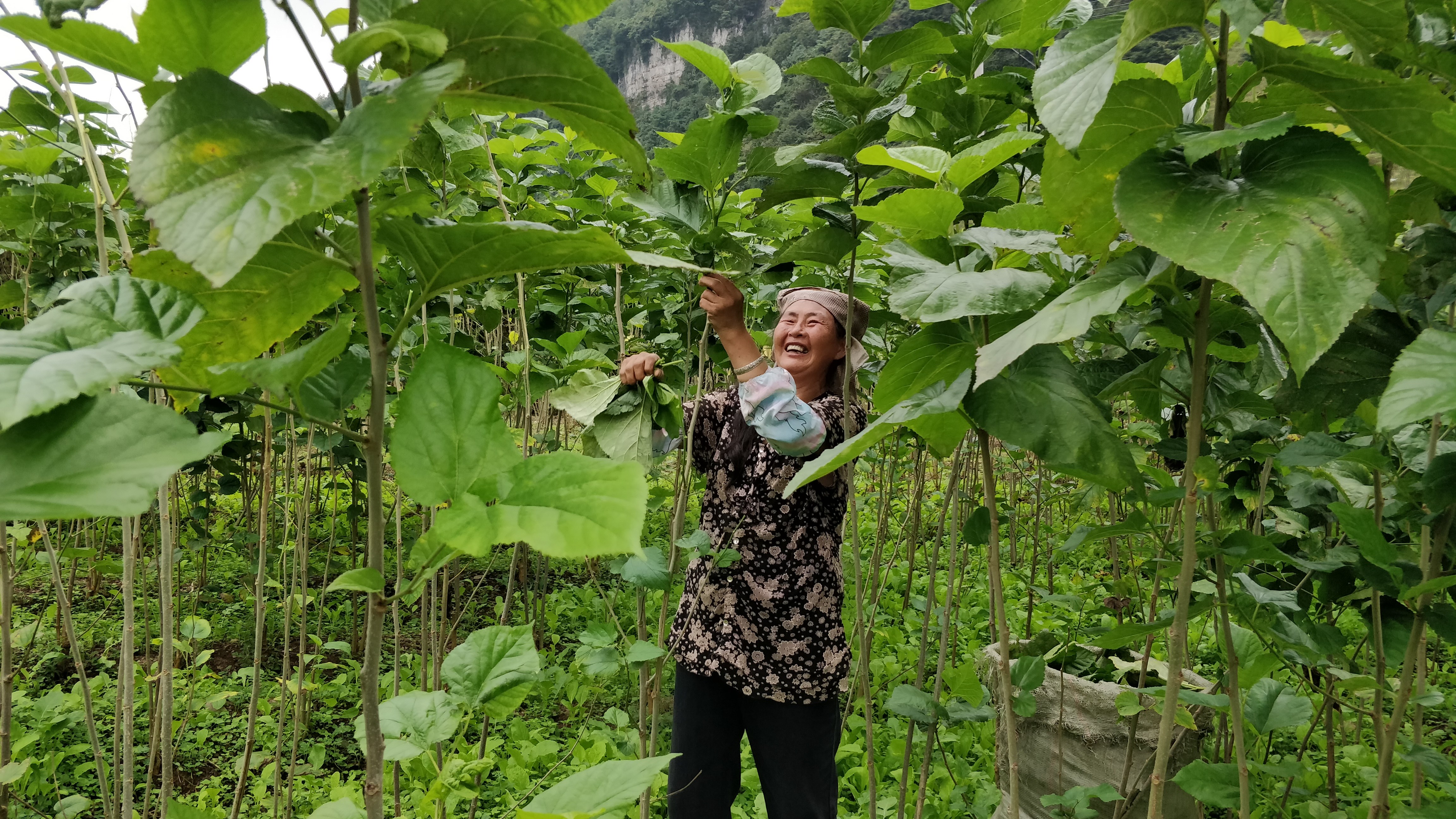 1599570553952179.jpg 1120922687_副本.jpg