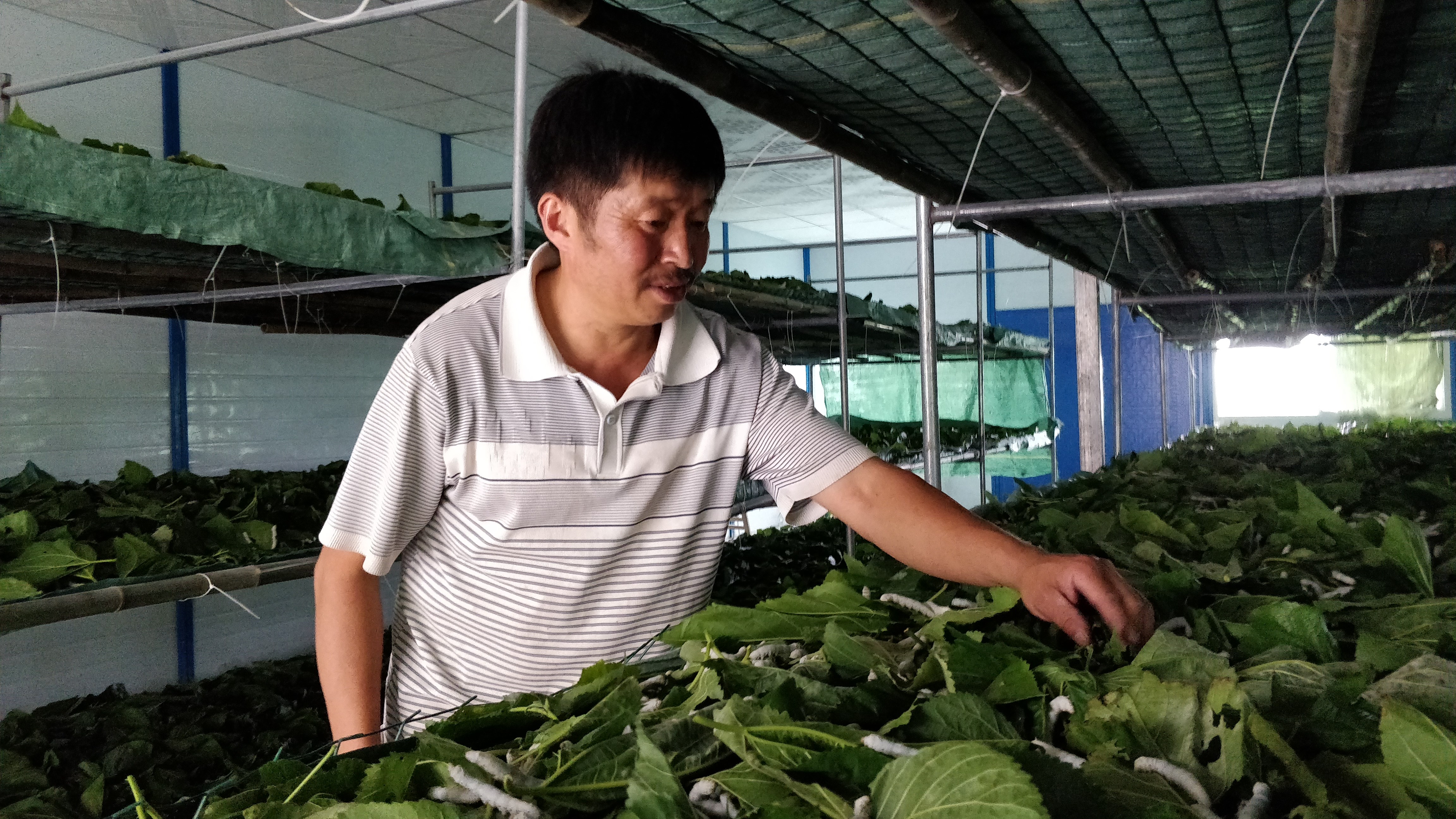 1599570702315631.jpg 1979892951_副本.jpg