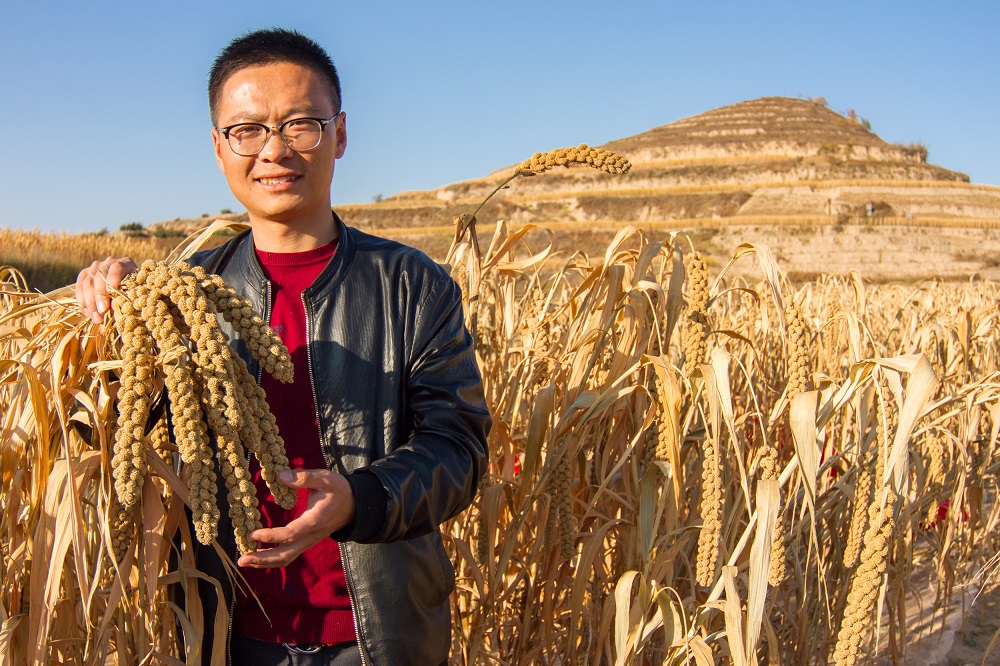 1599628999668388.jpg 1.jpg