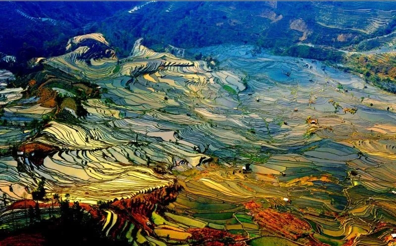 1600409232534_218_800x498.jpg