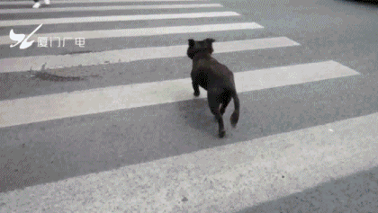002uLDeXly1giw2fn460eg60bo06lu0x02.gif