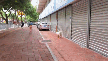 002uLDeXly1giw2fnjcb4g60bo06le8302.gif
