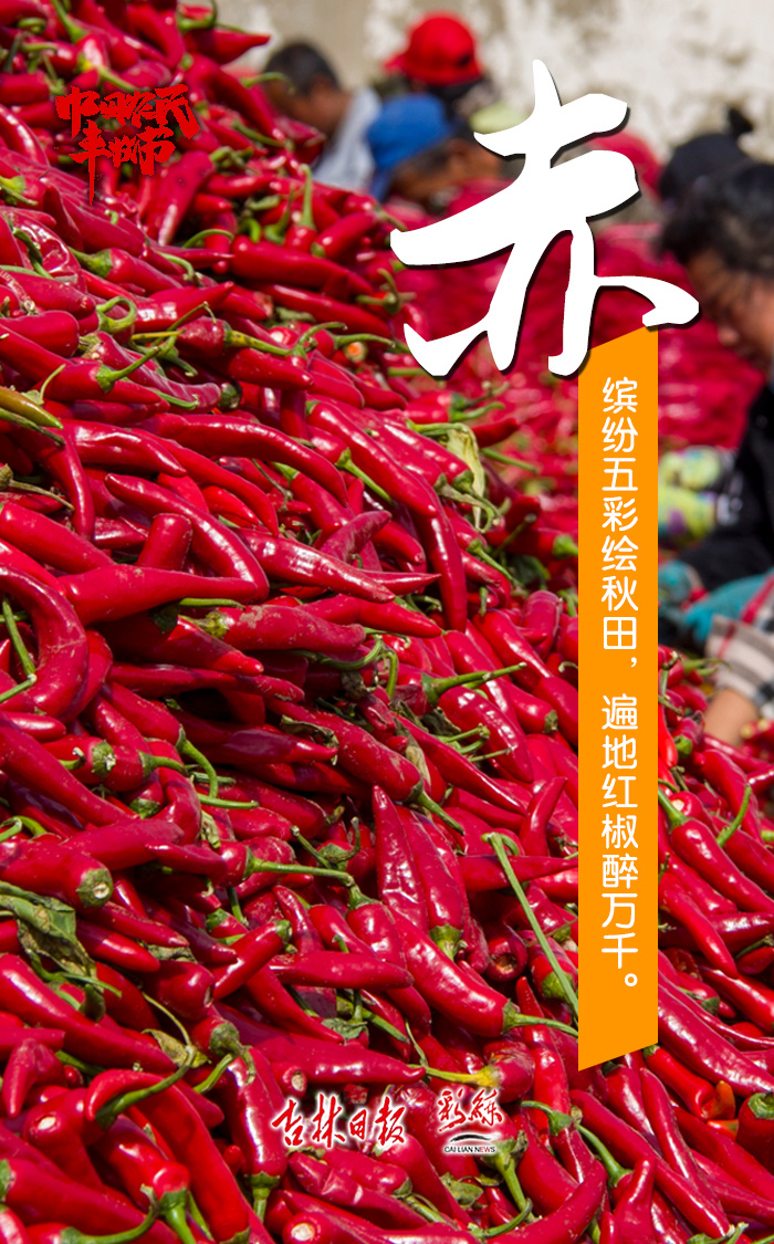 赤橙黄绿青蓝紫这就是丰收的颜色