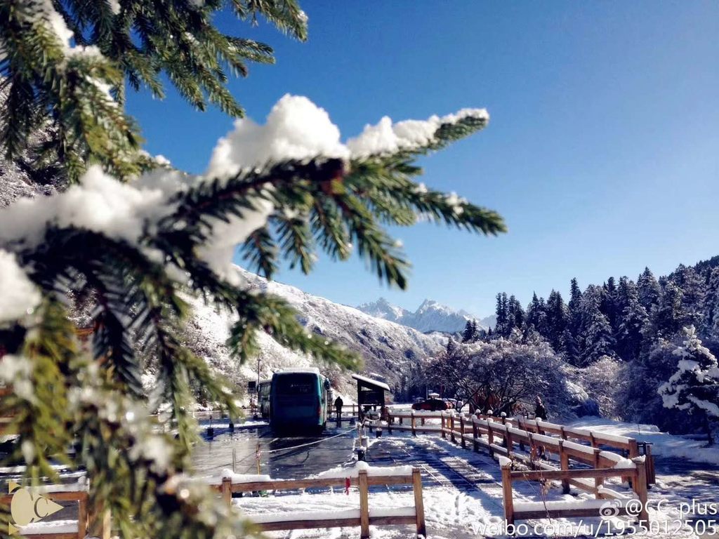 第一场|第一场雪来了！九寨沟、黄龙、四姑娘山开启雪景模式