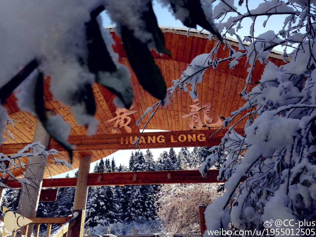 第一场|第一场雪来了！九寨沟、黄龙、四姑娘山开启雪景模式