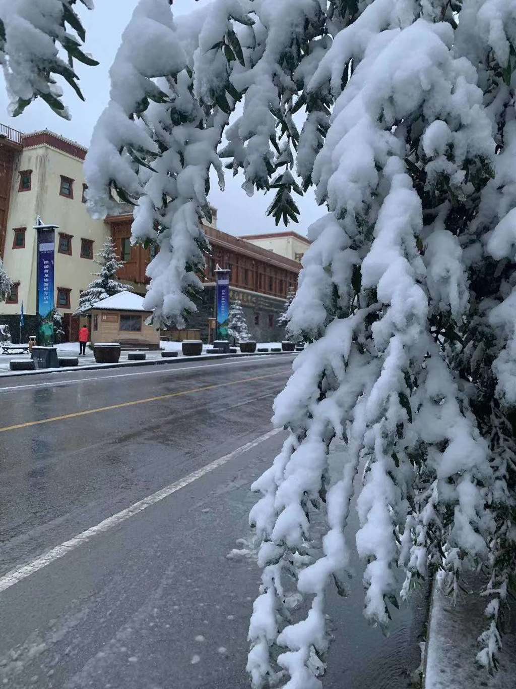 第一场|第一场雪来了！九寨沟、黄龙、四姑娘山开启雪景模式