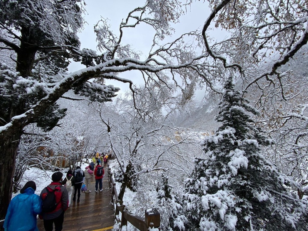 第一场|第一场雪来了！九寨沟、黄龙、四姑娘山开启雪景模式