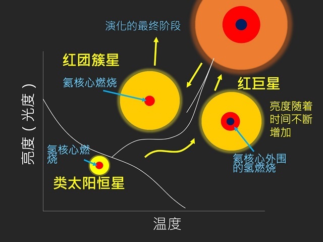 人民日报客户端|中外天文学家借助“心电图”揭秘富锂巨星