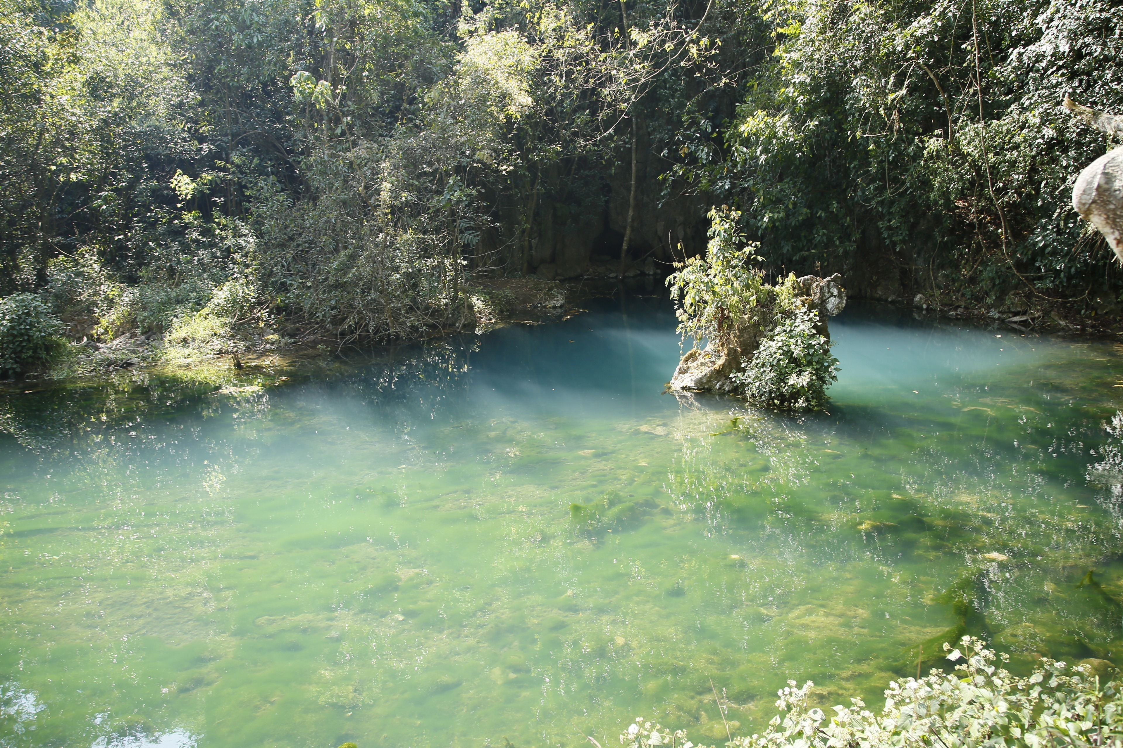 1602488704655059.jpg 图4 中华鮡生境(龙潭)(杨洪福摄).JPG