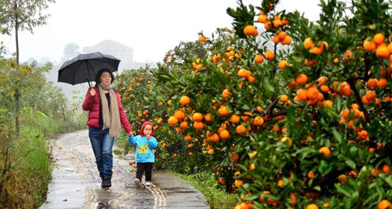 1602548852972099.jpg image002.jpg