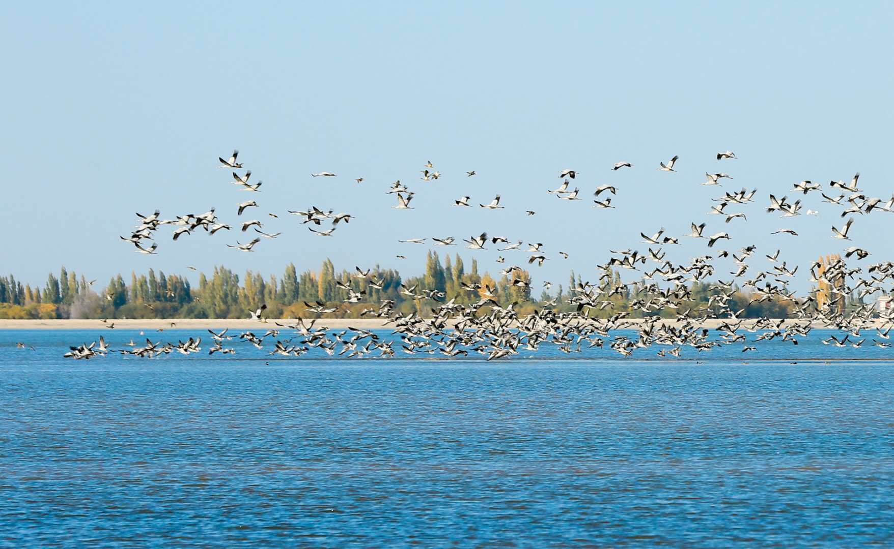 呼图壁县人民政府