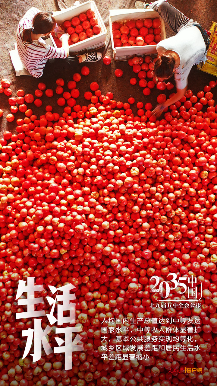 |2035，我们将建成这样的国家