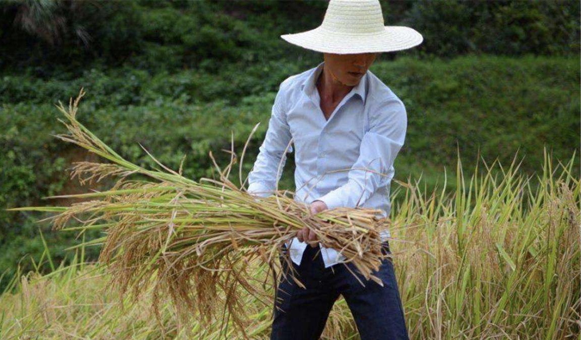 1604308505168657.jpg 微信图片_20201102171444.jpg