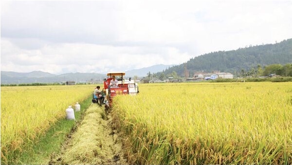 1604308248772230.jpg 微信图片_20201102171015.jpg