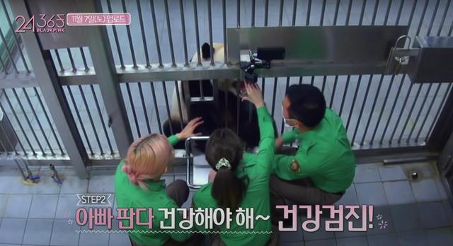 1604725511857002.png 1604720875124041.png