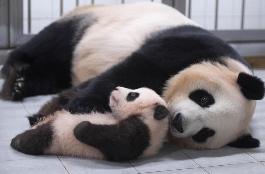 1604725602888256.jpg 1604720975995946.jpg