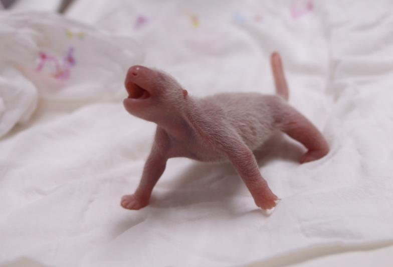 1604725616129040.jpg 1604721005372673.jpg