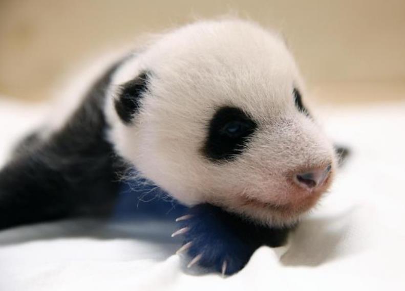 1604725625280304.jpg 1604721024227817.jpg