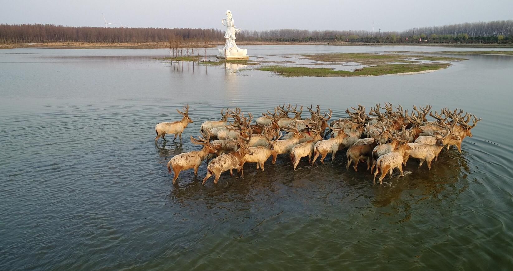 1604756778441619.jpg 微信图片_20201107214531.jpg