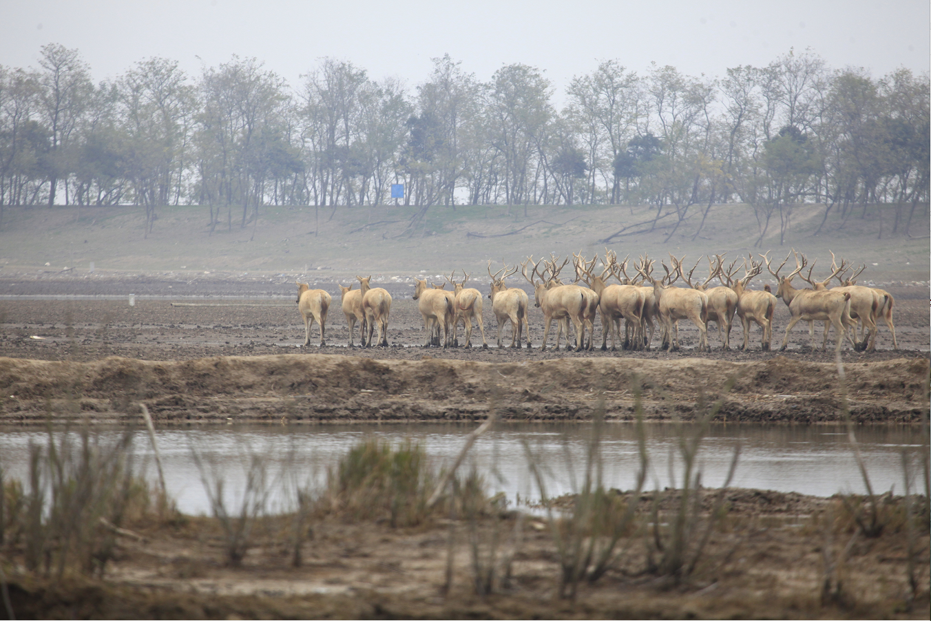 1604756818346889.png 微信截图_20201107214652.png