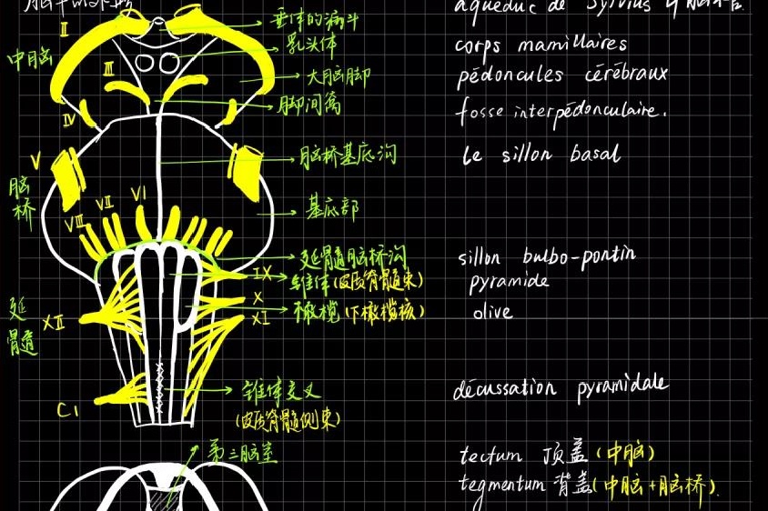 1605782777546058.jpg 5fb61352-e904-4e84-85e9-380fac10006a.jpg