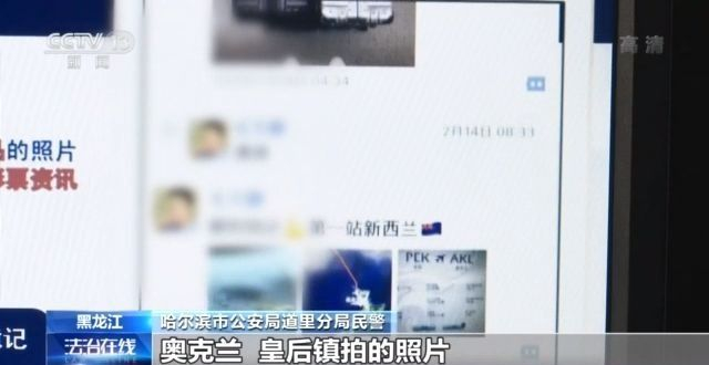 1608274295543170.jpg 10.jpg