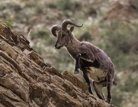 1608629826739843.png 微信截图_20201222172444.png